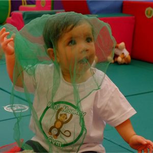 Mini Monkey Gym children's developmental sensory franchise UK