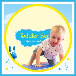 Toddler Sense soft play and sensory play franchise
